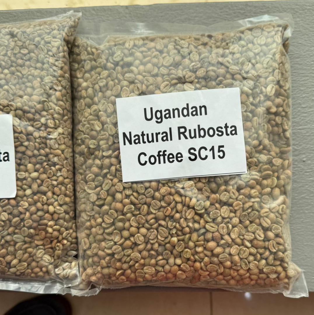 Sample bags of Ugandan natural Robusta green coffee, screen 15